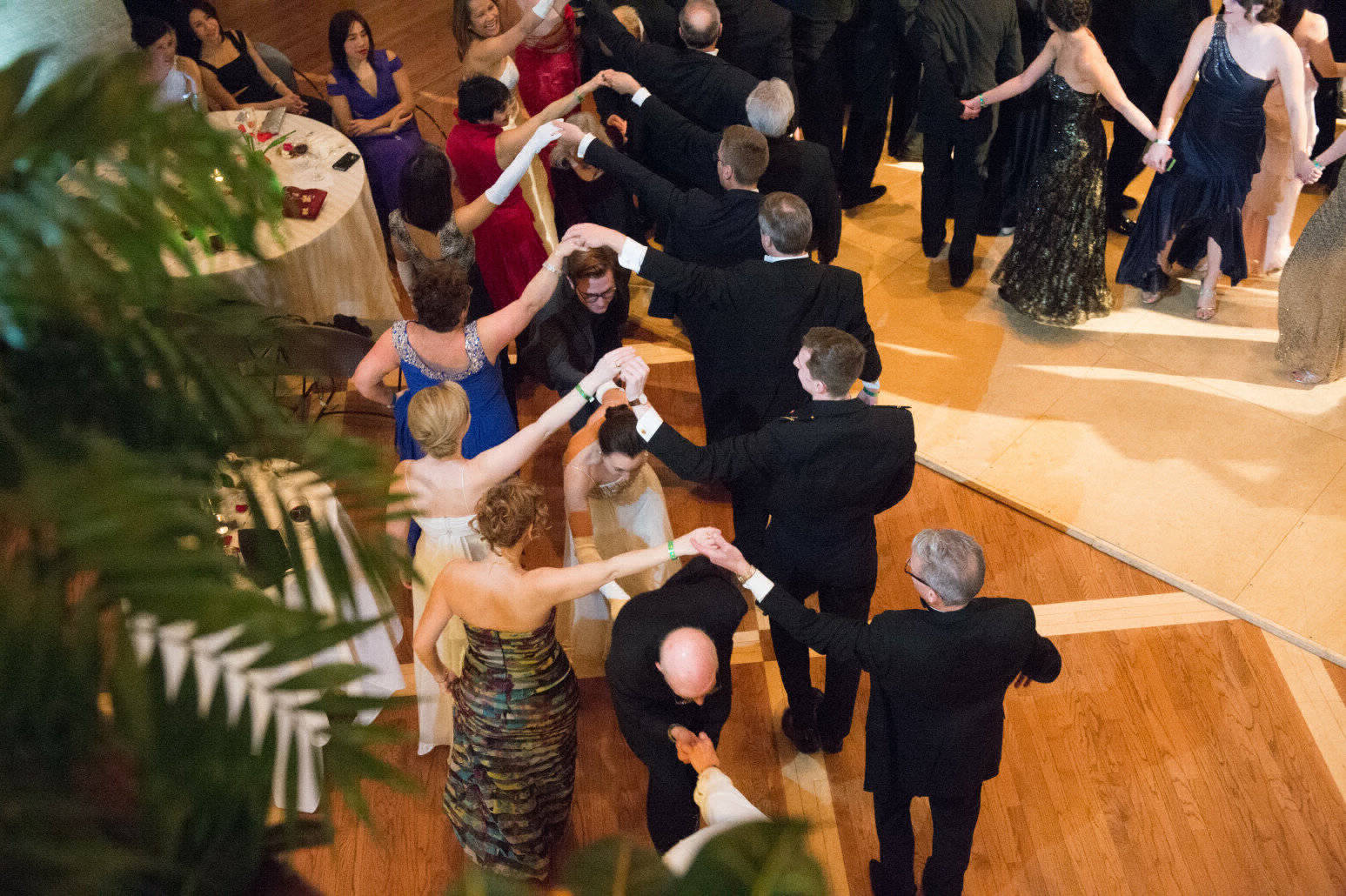 16th Annual Viennese Ball A Night in Vienna at the Embassy of Austria