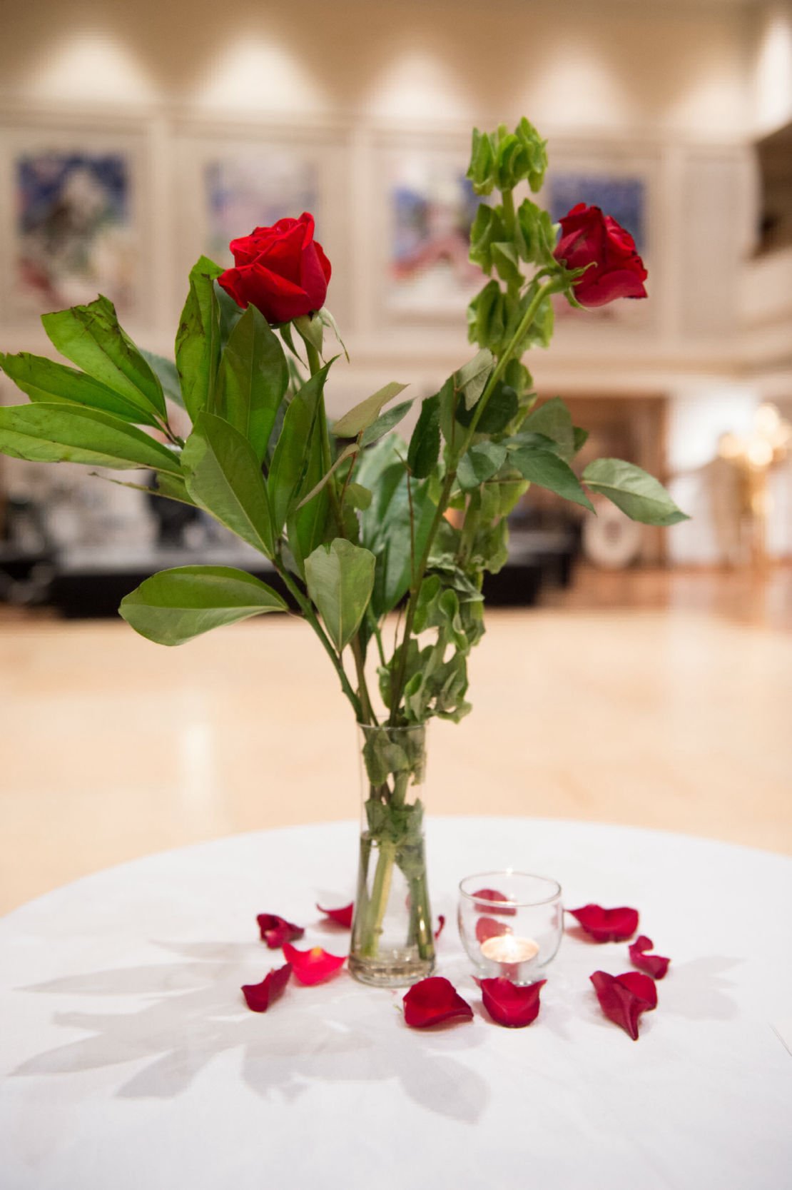 Washington DC Annual Viennese Ball A Night in Vienna at the Embassy of